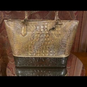 NWT medium Asher Brahmin in Symphony.